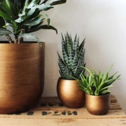 Capi Europe - Bloempot Bol Retro - 23x21 - Goud - Bloempot Voor Binnen - BRTG134 -Tuingereedschap Serie Winkel 1200x1200 2642