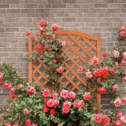 Relaxdays Plantenbak Met Klimrek - Bloembak Trellis - Rankhulp Hout - Voor Klimplanten -Tuingereedschap Serie Winkel 1200x1200 2650