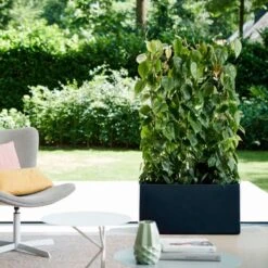 Elho Vivo Matt Finish Lang Wielen 90 - Grote Staande Plantenbak Voor Binnen & Buiten - Gemaakt Van Gereycled Plastic - L 39 X W 88 X H 41 Cm - Zwart 18 Elho Vivo Matt Finish Lang Wielen 90 - Grote Staande Plantenbak Voor Binnen & Buiten - Gemaakt Van Gereycled Plastic - L 39 X W 88 X H 41 Cm - Zwart -Tuingereedschap Serie Winkel 1200x1200 2654