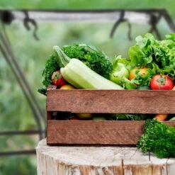 Relaxdays Kweekkas Pvc Met 2 Deuren - Lage Foliekas - Kleine Tuinkas - Plantenkas Tuin -Tuingereedschap Serie Winkel 1200x1200 2676