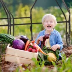 Relaxdays Kweekkas Pvc Met 2 Deuren - Lage Foliekas - Kleine Tuinkas - Plantenkas Tuin -Tuingereedschap Serie Winkel 1200x1200 2677