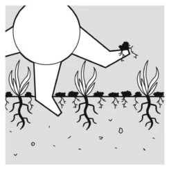 GARDENA EVC 1000 Verticuteermachine - Werkbreedte 30 Cm - Werkgebied 600m2 -Tuingereedschap Serie Winkel 1200x1200 316
