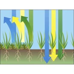 GARDENA EVC 1000 Verticuteermachine - Werkbreedte 30 Cm - Werkgebied 600m2 -Tuingereedschap Serie Winkel 1200x1200 317