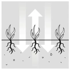 GARDENA EVC 1000 Verticuteermachine - Werkbreedte 30 Cm - Werkgebied 600m2 -Tuingereedschap Serie Winkel 1200x1200 318