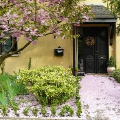 Talen Tools - Voetenveger - Dubbel - Harde Kunststof Borstels 12 Talen Tools - Voetenveger - Dubbel - Harde Kunststof Borstels -Tuingereedschap Serie Winkel 1200x1200 442