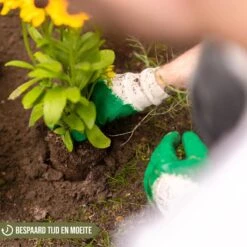 Merkloos Grondboor Voor Planten - 25 CM - Palenboor - Moestuin - Bollenplanter - Zwart 13 Merkloos Grondboor Voor Planten - 25 CM - Palenboor - Moestuin - Bollenplanter - Zwart -Tuingereedschap Serie Winkel 1200x1200 473