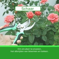 Djambo Tuingereedschap Set 8-delig Tuinsetje Met 15 Unieke Bamboe Plantetiketten In 1 Draagtas - Compleet Tuingereedschap Voor De Tuinliefhebbers 30 Djambo Tuingereedschap Set 8-delig Tuinsetje Met 15 Unieke Bamboe Plantetiketten In 1 Draagtas - Compleet Tuingereedschap Voor De Tuinliefhebbers -Tuingereedschap Serie Winkel 1200x1200 807