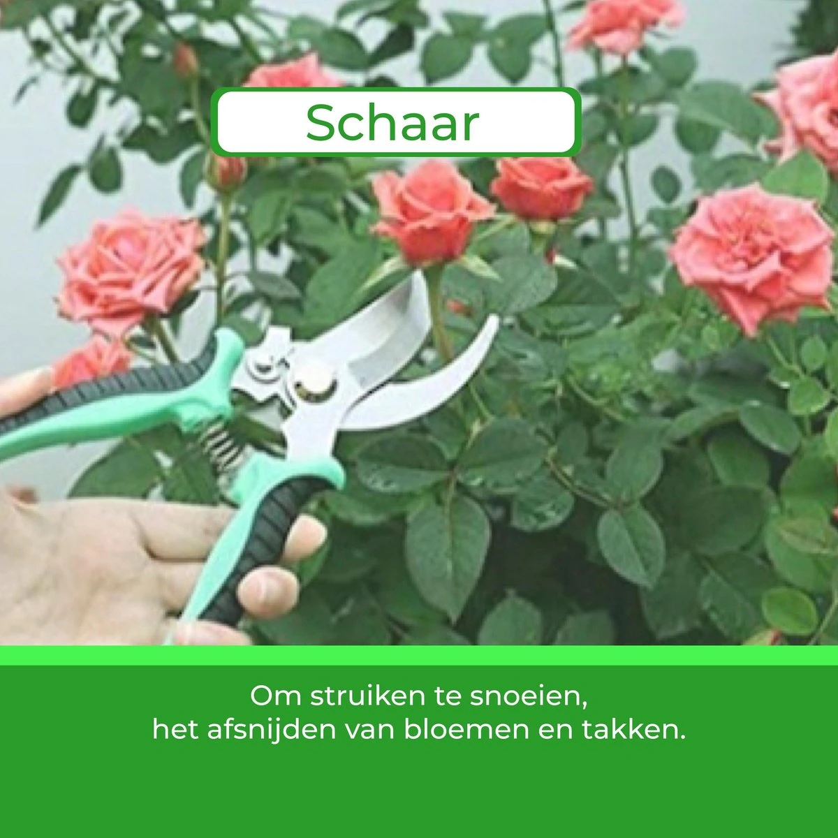 Djambo Tuingereedschap Set 8-delig Tuinsetje Met 15 Unieke Bamboe Plantetiketten In 1 Draagtas - Compleet Tuingereedschap Voor De Tuinliefhebbers 11 Djambo Tuingereedschap Set 8-delig Tuinsetje Met 15 Unieke Bamboe Plantetiketten In 1 Draagtas - Compleet Tuingereedschap Voor De Tuinliefhebbers - Afbeelding 9
