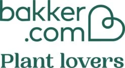 Pokon Bio Moestuinvoeding - 500ml - Plantenvoeding - 14ml Per 1l Water -Tuingereedschap Serie Winkel 1200x657 4