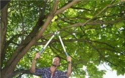 Gardena EasyCut Takkenschaar 68B + Classic Snoeischaar 8754 Display 1stuk 12003-30 -Tuingereedschap Serie Winkel 1200x749 2