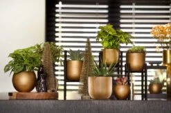 Capi Europe - Bloempot Bol Retro - 23x21 - Goud - Bloempot Voor Binnen - BRTG134 -Tuingereedschap Serie Winkel 1200x795 10