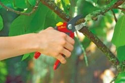 WOLF-Garten Snoeischaar "Premium Plus" RS 4000 - Aambeeld - Max. Knipdiameter 25 Mm - Links- En Rechtshandige - Softinleg Handgreep - Snijhoek 30° - Voor Grote Handen - Vervangbare Messen En Aambeeld -Tuingereedschap Serie Winkel 1200x798 4