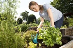 GARDENA Combisystem Tuinhak - Werkbreedte 6,5cm - 25 Jaar Garantie -Tuingereedschap Serie Winkel 1200x799 137