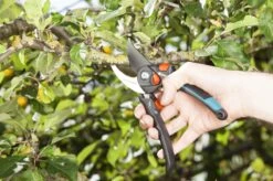 GARDENA - Comfort B/S-XL Bypass - Snoeischaar - Ø 24 Mm - 25 Jaar Garantie -Tuingereedschap Serie Winkel 1200x799 46