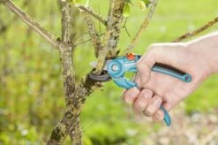 GARDENA Classic Aambeeld Snoeischaar - Ø 18 Mm -Tuingereedschap Serie Winkel 1200x799 58