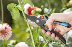 GARDENA Comfort B/M Bypass Snoeischaar - Ø 24mm - Met Sapgeul -Tuingereedschap Serie Winkel 1200x799 67