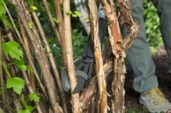 GARDENA - SlimCut Takkenschaar -28mm- Met Hefboommechanisme 14 GARDENA - SlimCut Takkenschaar -28mm- Met Hefboommechanisme -Tuingereedschap Serie Winkel 1200x799 70