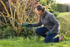 Bosch KEO 18 Accu Tuinzaagmachine - Snijdiameter Van 80 Mm - Met 18 V Accu En Lader -Tuingereedschap Serie Winkel 1200x800 105