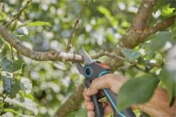 GARDENA AssistCut Snoeischaar- Ø 25mm 24 GARDENA AssistCut Snoeischaar- Ø 25mm -Tuingereedschap Serie Winkel 1200x800 109