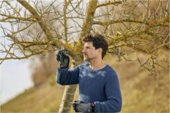 GARDENA - ExpertCut - Snoeischaar - 22 Diameter Tak -Tuingereedschap Serie Winkel 1200x800 116