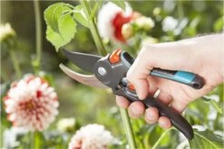 GARDENA Comfort B/M Bypass Snoeischaar - Ø 24mm - Met Sapgeul -Tuingereedschap Serie Winkel 1200x800 122