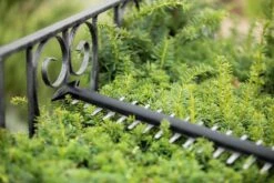 Bosch UniversalHedgeCut 18-55 Heggenschaar - Zonder 18V Accu En Oplader -Tuingereedschap Serie Winkel 1200x800 142