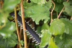 Bosch UniversalHedgeCut 18-55 Heggenschaar - Zonder 18V Accu En Oplader -Tuingereedschap Serie Winkel 1200x800 145