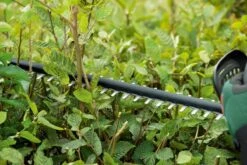 Bosch UniversalHedgeCut 18-50 Heggenschaar - Met 18 V Accu En Lader -Tuingereedschap Serie Winkel 1200x800 151