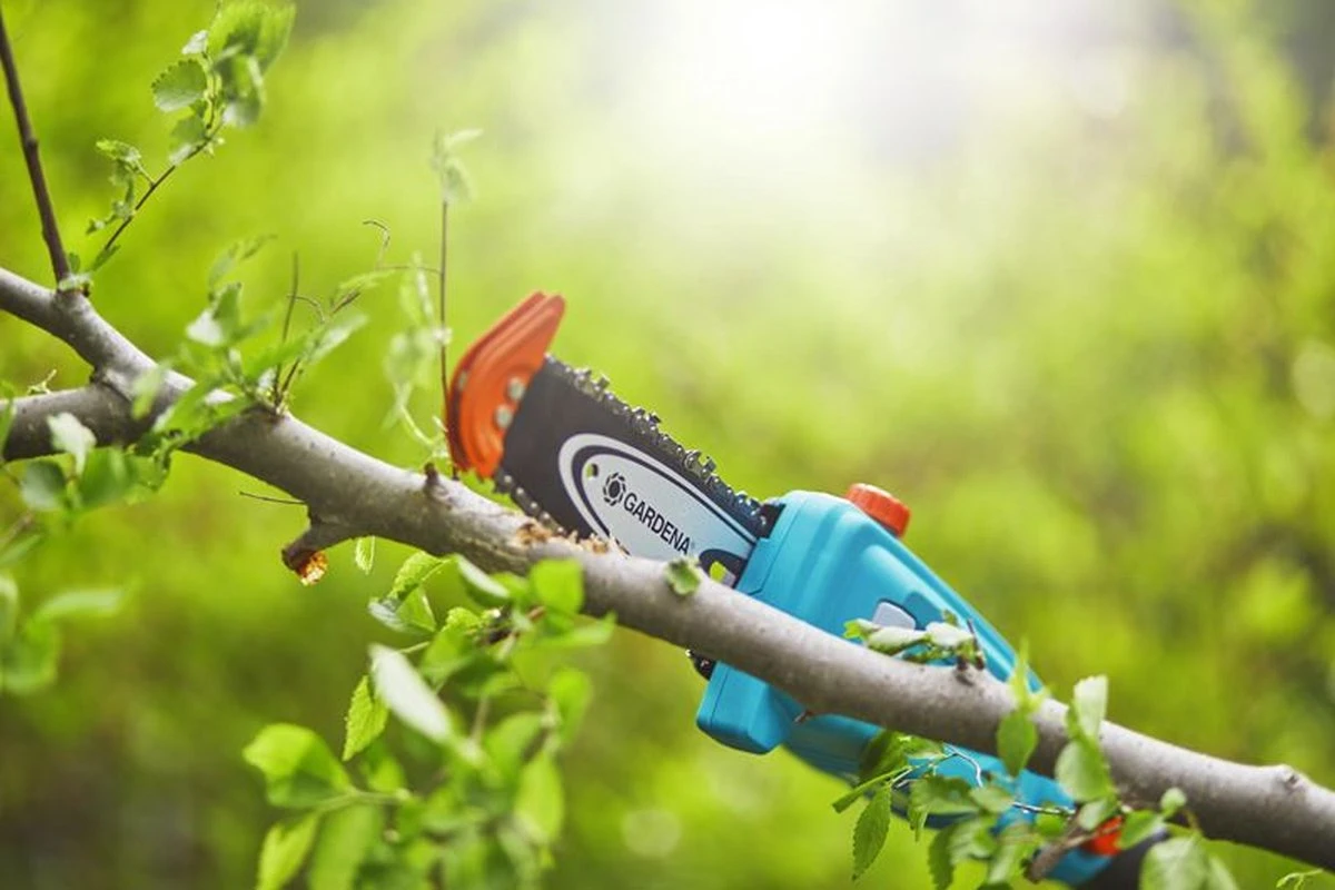 GARDENA - Accu Telescopische Snoeizaag - TCS 20/18 P4A Solo 4 GARDENA - Accu Telescopische Snoeizaag - TCS 20/18 P4A Solo - Afbeelding 2