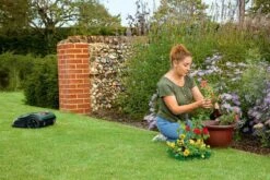 Bosch Indego S+ 500 Robotmaaier - Voor Gazons Tot 500 M2 - Incl. Laadstation En Accessoires - Connected -Tuingereedschap Serie Winkel 1200x800 190