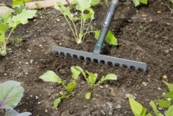 Gardena NatureLine Hark | 36 Cm | FSC 100% - 17106-20 -Tuingereedschap Serie Winkel 1200x800 219