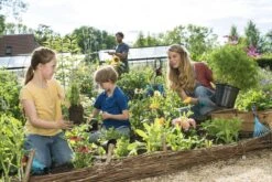 GARDENA Combisystem Bladharkje - Werkbreedte 12 Cm - 25 Jaar Garantie -Tuingereedschap Serie Winkel 1200x800 220