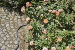 GARDENA Kraanverbindingsstuk Binnenshuis -Tuingereedschap Serie Winkel 1200x800 672