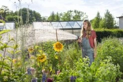 GARDENA - Comfort Broeskop - 5 Straalsoorten - Grijs 29 GARDENA - Comfort Broeskop - 5 Straalsoorten - Grijs -Tuingereedschap Serie Winkel 1200x800 688