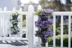 Elho Corsica Vertical Forest 24 - Bloempot Voor Balkonbuiten - Ø 26.7 X H 29.7 Cm - Zwart/Antraciet -Tuingereedschap Serie Winkel 1200x800 735