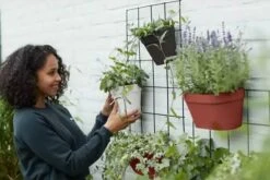 Elho Loft Urban Green Wall Rek 48 - Accessoires Voor Buiten - Ø 47.3 X H 59.0 Cm - Zwart/Living Black -Tuingereedschap Serie Winkel 1200x800 737