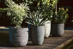 Capi Europe - Bloempot Bol Rib NL - 35x34 - Antraciet - Voor Binnen En Buiten - KOFZ932 -Tuingereedschap Serie Winkel 1200x800 742