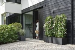 Elho Vivo Next Vierkant 30 - Plantenbak Voor Binnen & Buiten - Ø 29.5 X H 29.5 Cm - Zwart/Living Black 24 Elho Vivo Next Vierkant 30 - Plantenbak Voor Binnen & Buiten - Ø 29.5 X H 29.5 Cm - Zwart/Living Black -Tuingereedschap Serie Winkel 1200x800 744