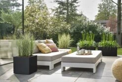 Elho Vivo Next Vierkant 30 - Plantenbak Voor Binnen & Buiten - Ø 29.5 X H 29.5 Cm - Zwart/Living Black 25 Elho Vivo Next Vierkant 30 - Plantenbak Voor Binnen & Buiten - Ø 29.5 X H 29.5 Cm - Zwart/Living Black -Tuingereedschap Serie Winkel 1200x800 745