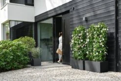 Elho Vivo Next Vierkant 30 - Plantenbak Voor Binnen & Buiten - Ø 29.5 X H 29.5 Cm - Zwart/Living Black 32 Elho Vivo Next Vierkant 30 - Plantenbak Voor Binnen & Buiten - Ø 29.5 X H 29.5 Cm - Zwart/Living Black -Tuingereedschap Serie Winkel 1200x800 746