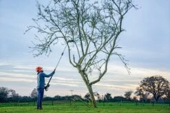 Bosch UniversalHedgePole 18 Heggenschaar Op Steel - Met 18 V Accu En Lader -Tuingereedschap Serie Winkel 1200x800 87