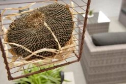 Garden Impressions Montana Loungeset - Organic Grey -Tuingereedschap Serie Winkel 1200x801 28