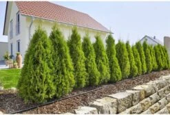 GARDENA Micro Drip System Startset L Druppelsysteem - 50 Meter -Tuingereedschap Serie Winkel 1200x814 3