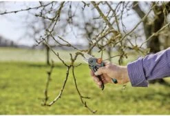 GARDENA - ExpertCut - Snoeischaar - 22 Diameter Tak -Tuingereedschap Serie Winkel 1200x815 1