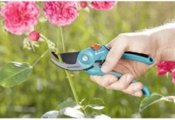 GARDENA - Classic B/S-M Bypass Snoeischaar - Ø 22mm - 25 Jaar Garantie -Tuingereedschap Serie Winkel 1200x820 1