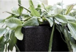 Capi Europe - Bloempot Vierkant Smooth NL - 40x40x40 - Zwart - Voor Binnen En Buiten - KBL903 -Tuingereedschap Serie Winkel 1200x820 18