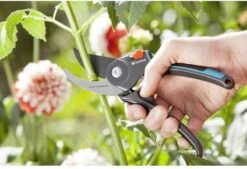 GARDENA Comfort B/M Bypass Snoeischaar - Ø 24mm - Met Sapgeul -Tuingereedschap Serie Winkel 1200x822