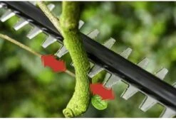 Bosch UniversalHedgePole 18 Heggenschaar Op Steel - Met 18 V Accu En Lader -Tuingereedschap Serie Winkel 1200x823