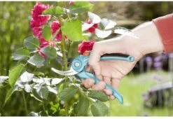 GARDENA 08853-20 Gardena Tuinschaar 12 GARDENA 08853-20 Gardena Tuinschaar -Tuingereedschap Serie Winkel 1200x825 15