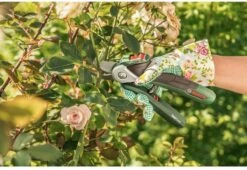 Bosch EasyPrune Accu Snoeischaar - 3.6 V Accu - USB 12 Bosch EasyPrune Accu Snoeischaar - 3.6 V Accu - USB -Tuingereedschap Serie Winkel 1200x825 18